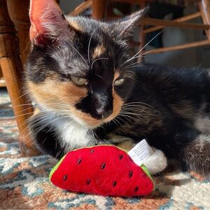 Meet your Posher, Erin